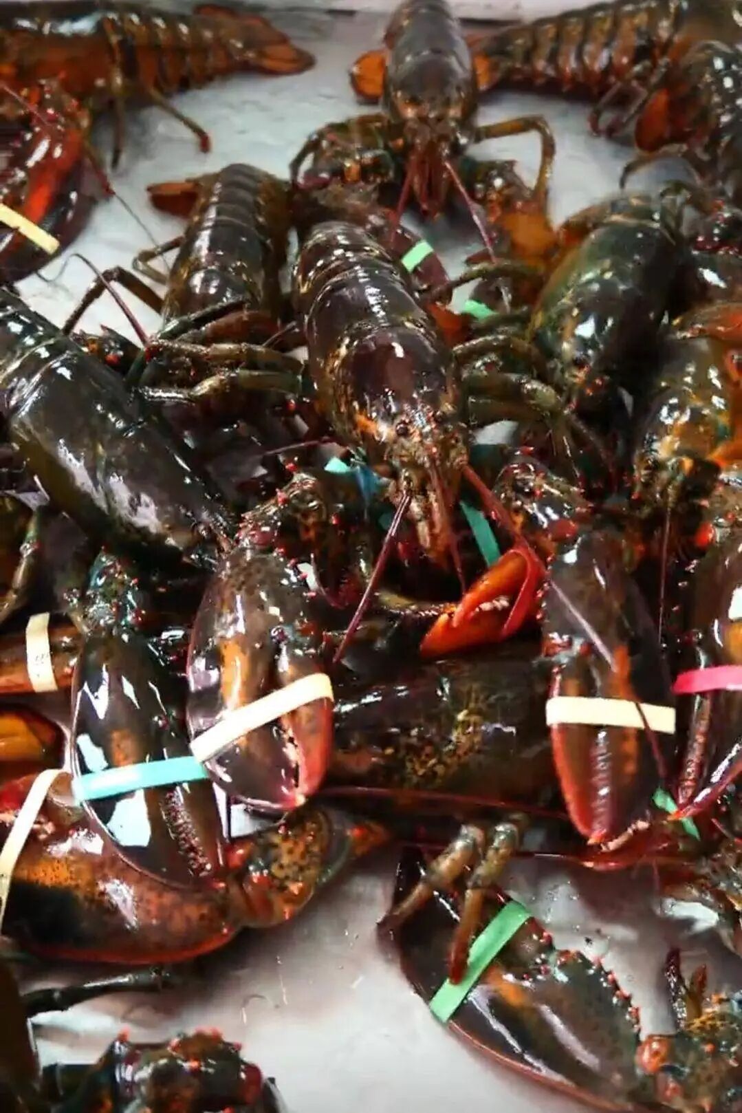 河南一幼儿园20元餐费能吃龙虾鲍鱼