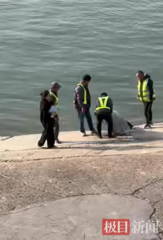 和顺96号渡船4名安全员联手将女子救起（目击者视频截图）.png