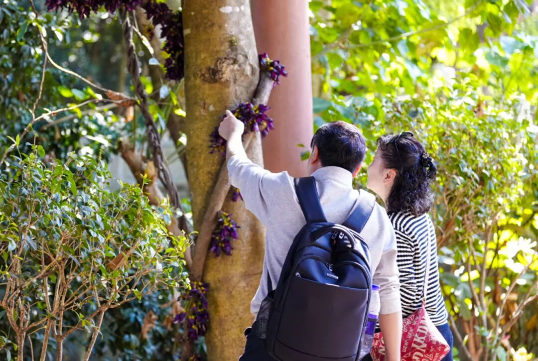 未命名 (1 - 1)-25.jpg