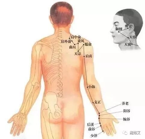 艾灸肩部这些部位 肩颈不再疼 鲍姑艾 微信公众号文章阅读 Wemp