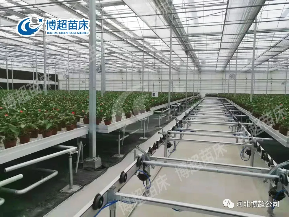 温室种植中都有哪些常用的苗床?(图3) 图片