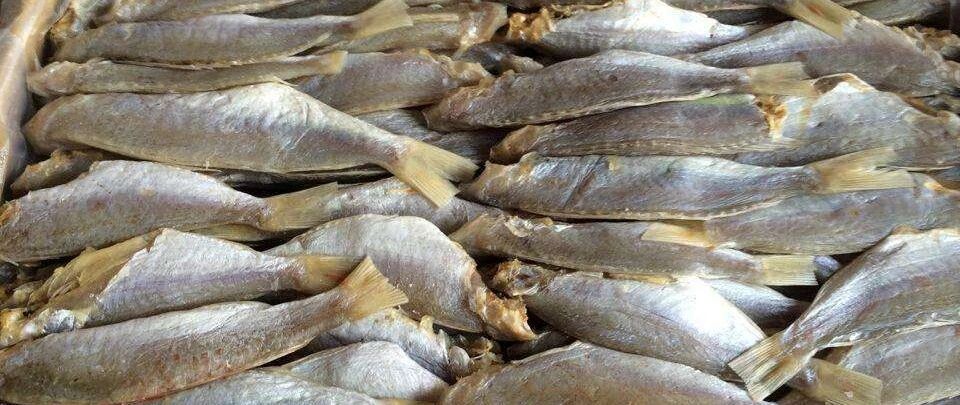 这种鱼是"一级致癌物"，吃一公斤等于抽250根烟？很多人都爱吃！