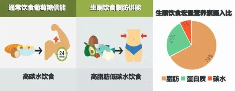 生酮快4年，瘦了多少？我来谈谈什么是生酮饮食