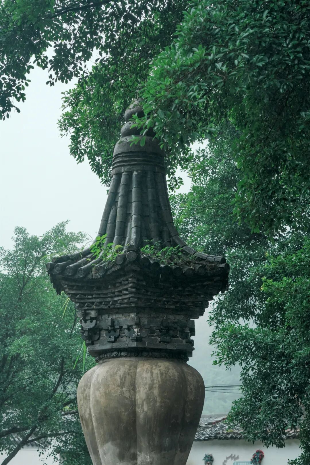 DQ_01622.jpg