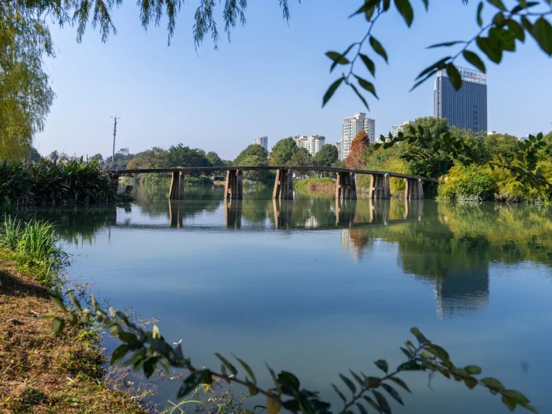 河景8.jpg