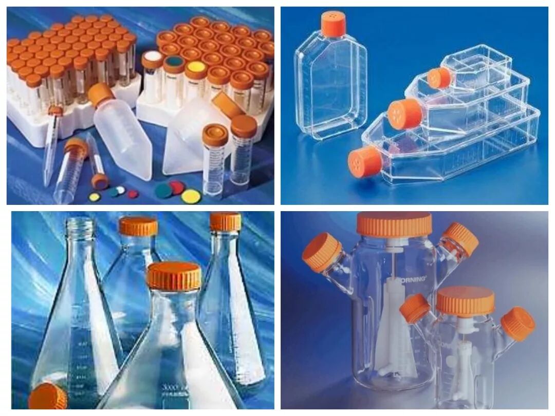 华粤瑞科参展北京疫苗与抗体大会，专注细胞领域新发展！