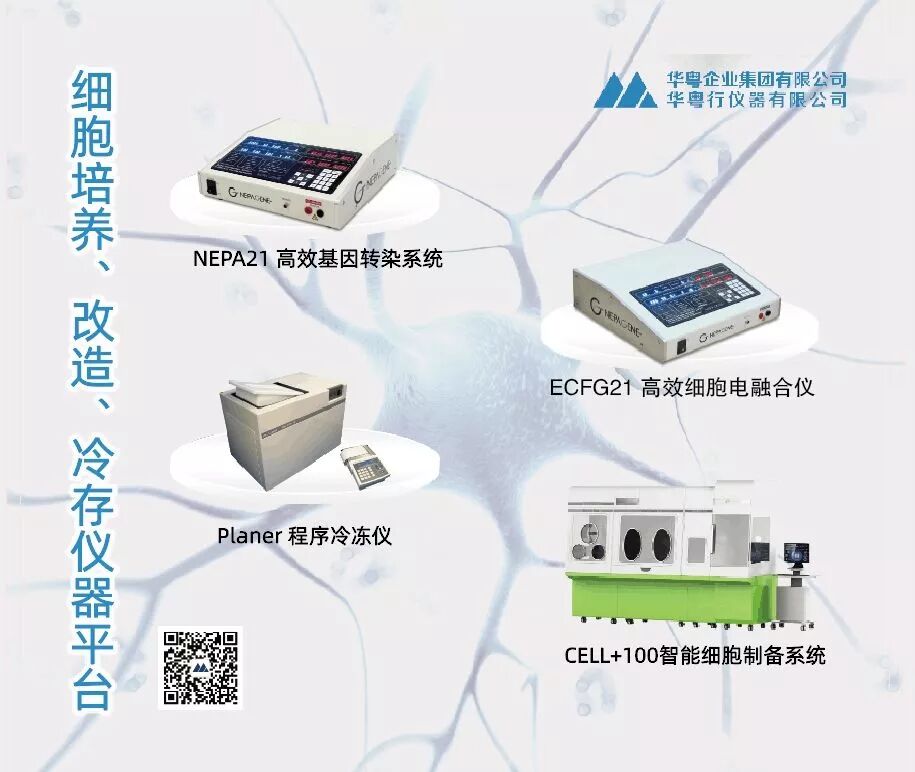 华粤瑞科参展北京疫苗与抗体大会，专注细胞领域新发展！