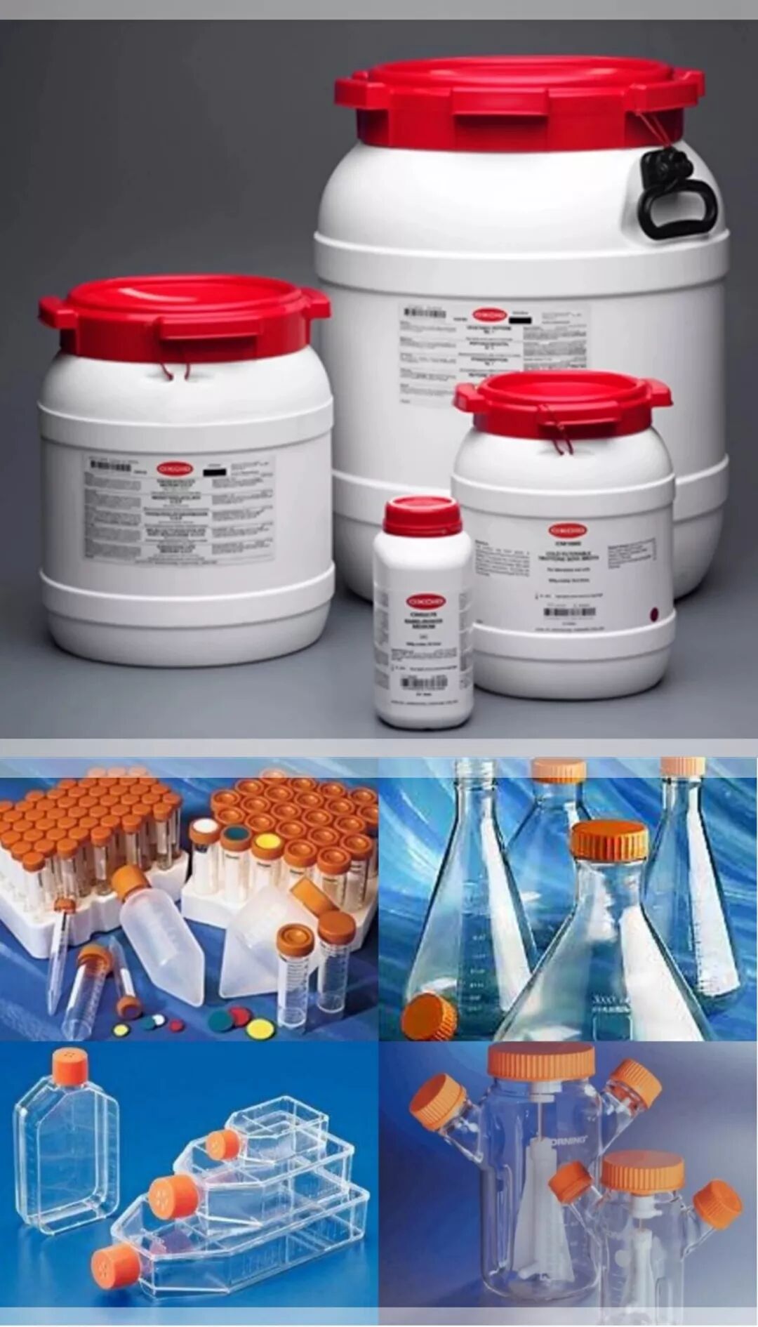 中秋赋，花好月圆，感恩有你！