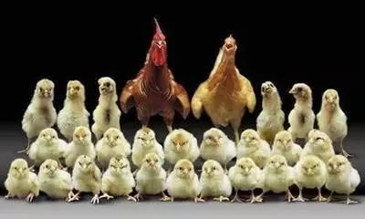 http://mmbiz.qpic.cn/mmbiz_jpg/YsnvaLOpe1s22fHWWPy8c6uOm66eolBYhJex6MYaPT3M2mxfAWvuk5s6KxNw8rnicC9NpYbF6ibgbM41R1RTHlKQ/640?wx_fmt=jpeg&wxfrom=5&wx_lazy=1