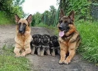 http://mmbiz.qpic.cn/mmbiz_jpg/YsnvaLOpe1s22fHWWPy8c6uOm66eolBYlia5pG98D8Zw9ltTbBKquYmicfnGyiczKkx9Awx8HaEth1HEjuhSBicfWg/640?wx_fmt=jpeg&wxfrom=5&wx_lazy=1