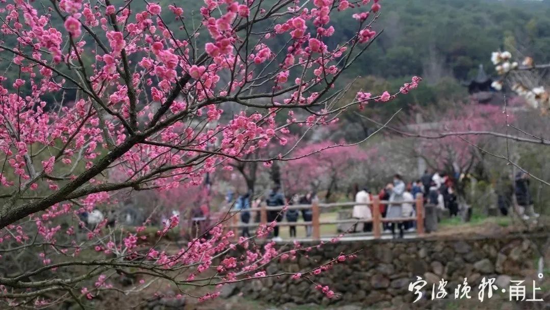 春节去哪旅游好玩