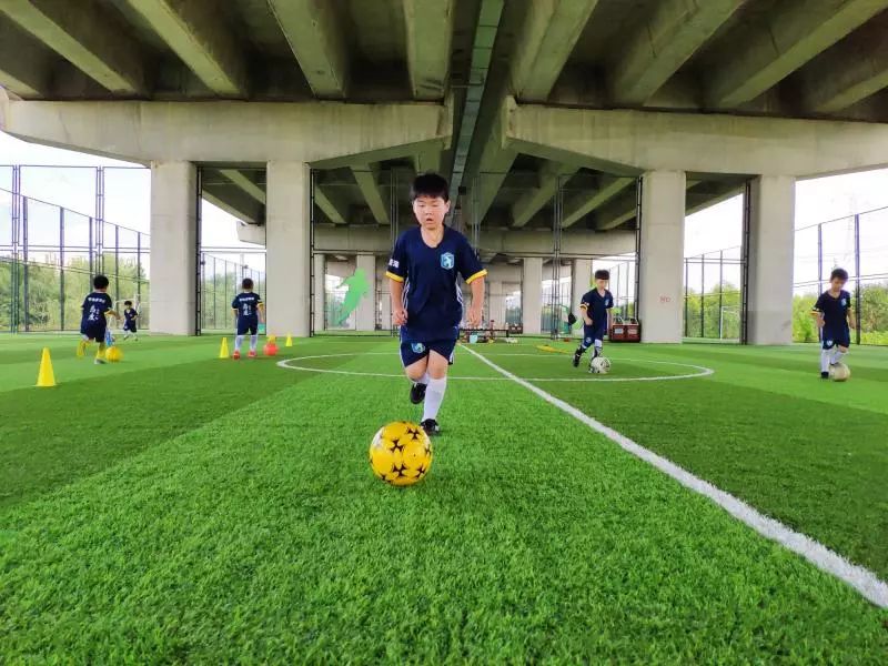 趣运动 动网 场地_运动场地护栏网_密纹网护栏