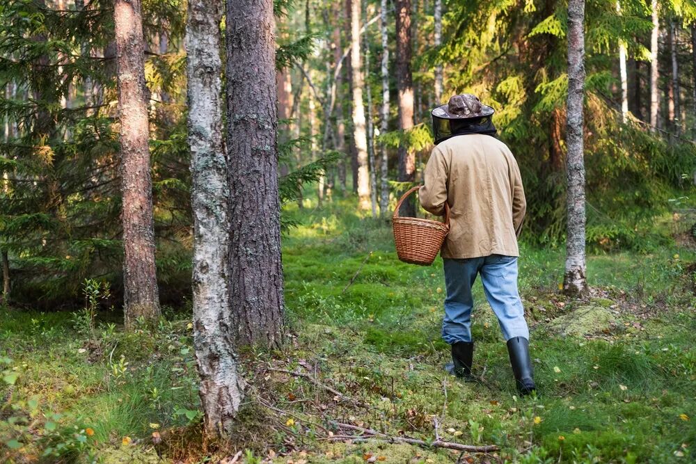 一部手机游云南