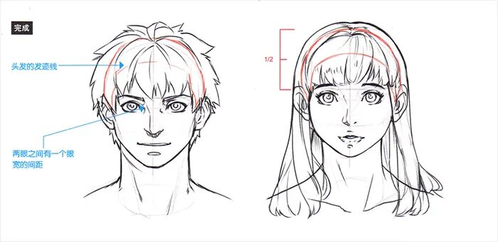 pssai转手绘教程动漫人物脸部轮廓怎么画教你如何绘制动漫人物的脸部