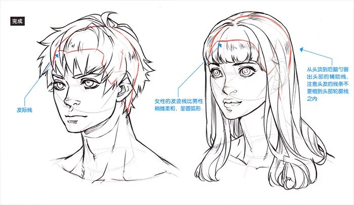 pssai转手绘教程动漫人物脸部轮廓怎么画教你如何绘制动漫人物的脸部