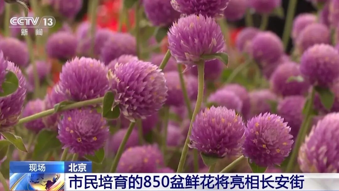 泽连斯基称俄完全依赖中国？中方回应
