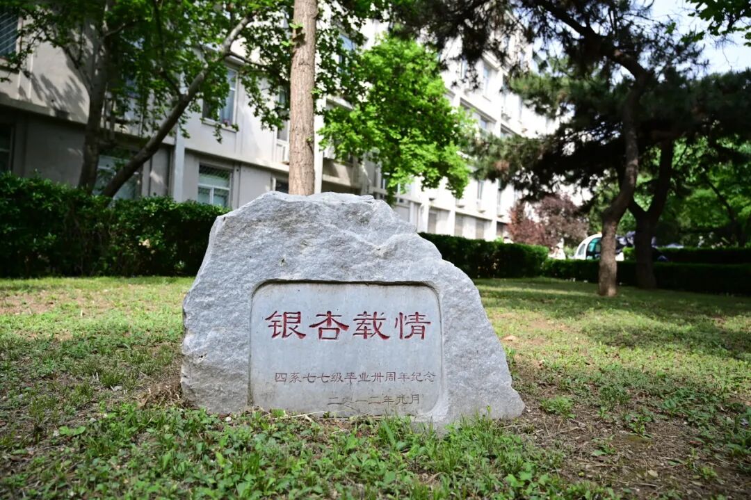 北京理工大学国际本科sea国际课程项目