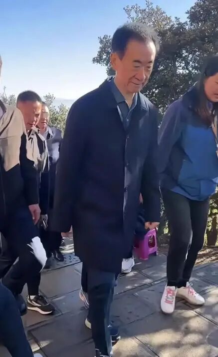 71岁的王健林操劳一生，感觉没奔头了 企业 科技大佬 微新闻 第2张