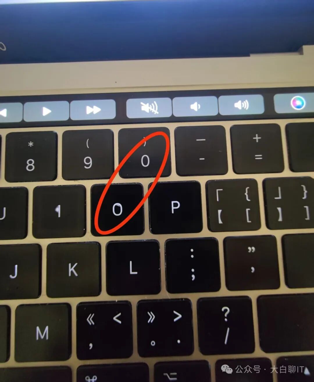 雷军口误念错玄戒芯片名，欧一成零一！网友：杯子命名都开了15次会，十年磨一剑的芯片念错？