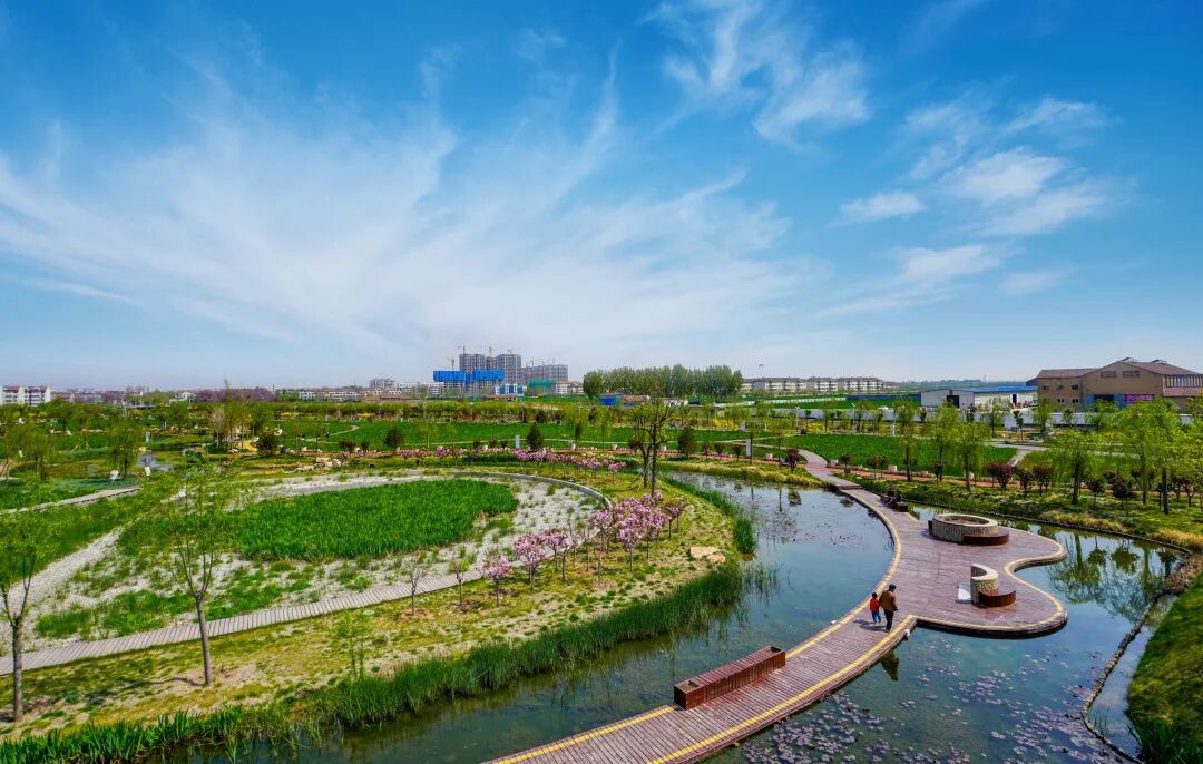 了,杨柳青了,在这春和景明的天气里,总有细微处的风景能撼动我们的心