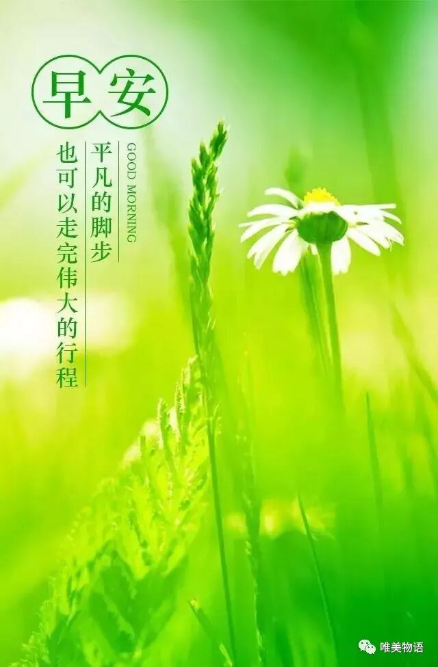 早安心语正能量鼓励语早安语录励志分享 励志人生名言语录 微信公众号文章阅读 Wemp