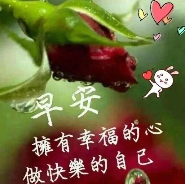 大家早上好 新版微信早上好祝福动态图片带字最新漂亮早上好问候动态图带字 微信图片