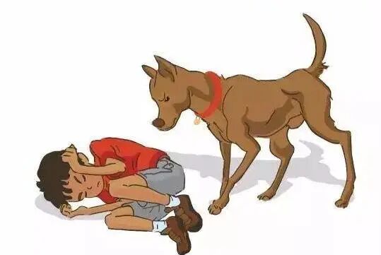 科普狂犬病致死率100被狗咬着不放怎么办很急在线等
