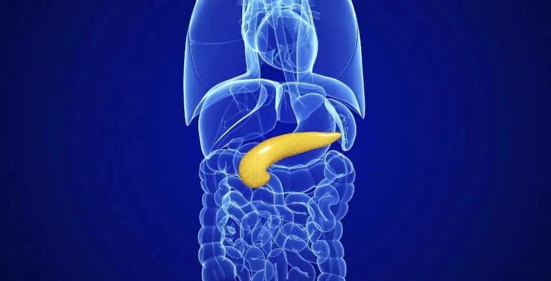 胰腺癌：这病很多人一发现就是晚期，腹绞痛、体重骤减等10个症状，一定注意！