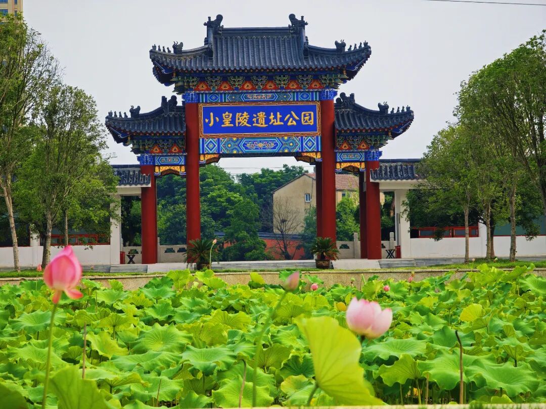微信图片_20260630170002_1555_187.jpg
