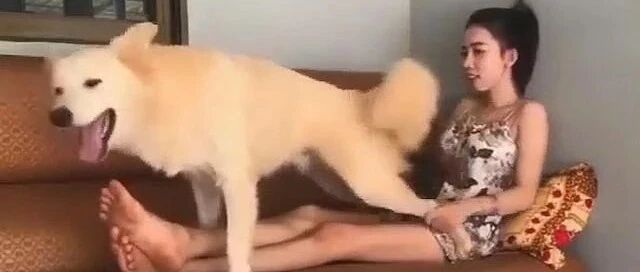 发条乐点：我家狗狗学坏了