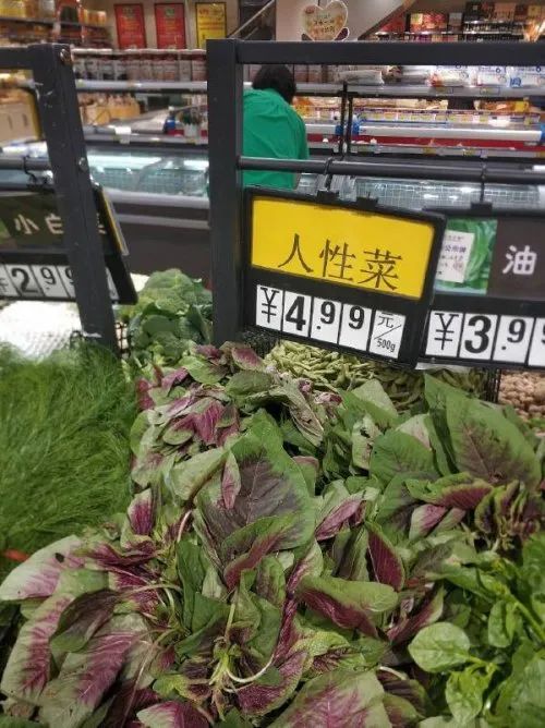 发条乐点：人性菜是什么菜？