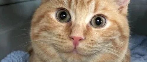 发条乐点：第一次见网友能紧张到什么程度