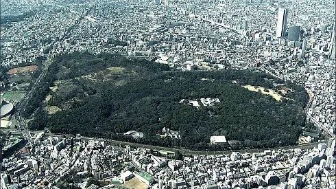 关于明治神宫，我写了个3000字的攻略 |日本深度游记