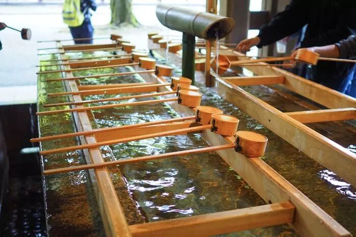 关于明治神宫，我写了个3000字的攻略 |日本深度游记