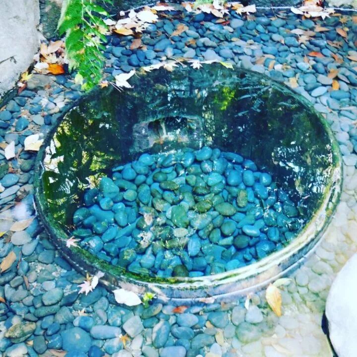 关于明治神宫，我写了个3000字的攻略 |日本深度游记