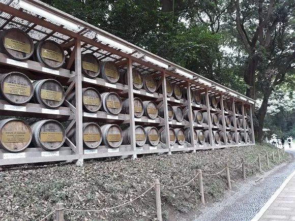 关于明治神宫，我写了个3000字的攻略 |日本深度游记