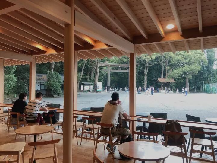 关于明治神宫，我写了个3000字的攻略 |日本深度游记