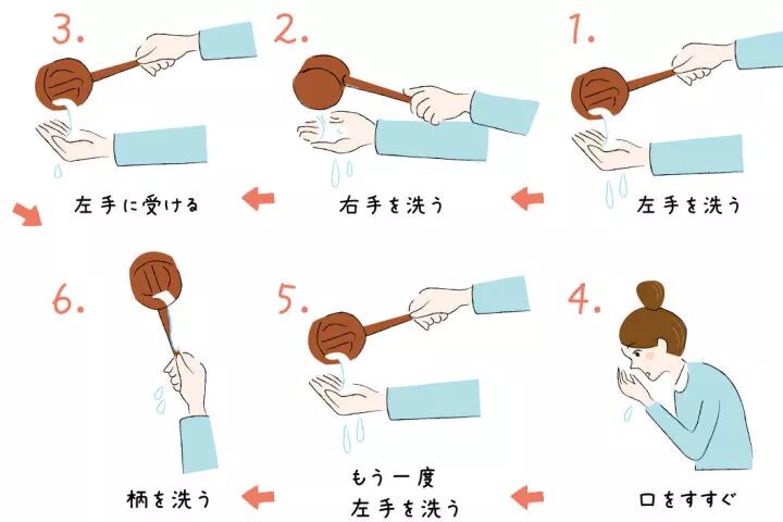 关于明治神宫，我写了个3000字的攻略 |日本深度游记