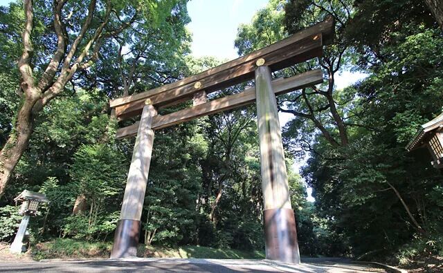 关于明治神宫，我写了个3000字的攻略 |日本深度游记