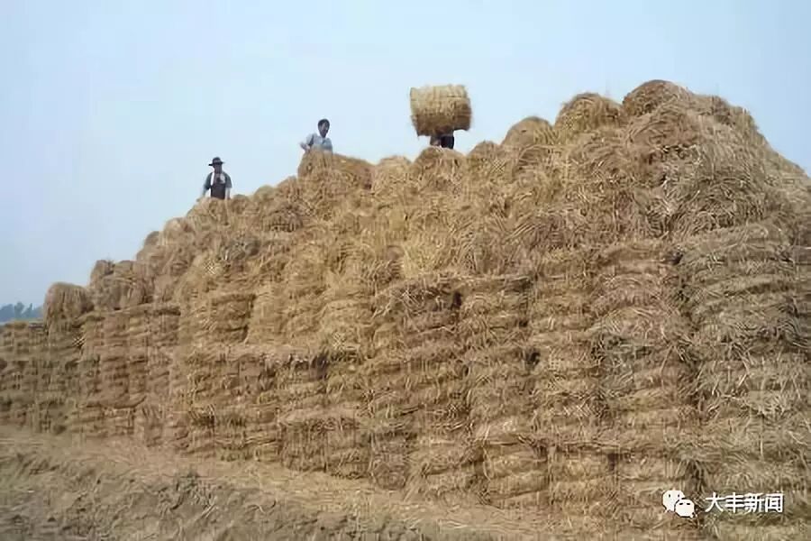 秸秆饲料化关键科研项目获省农业科研创新二等奖