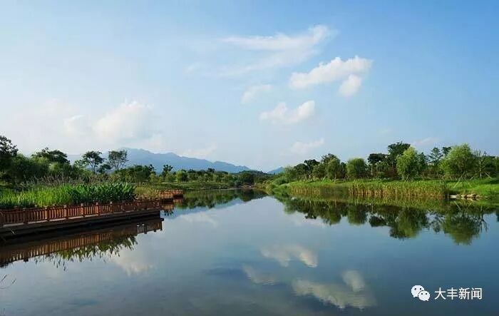 盐城市大丰区实招迭出走好治水“一盘棋”