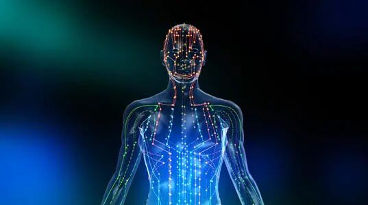 人体十二经络走向动画图