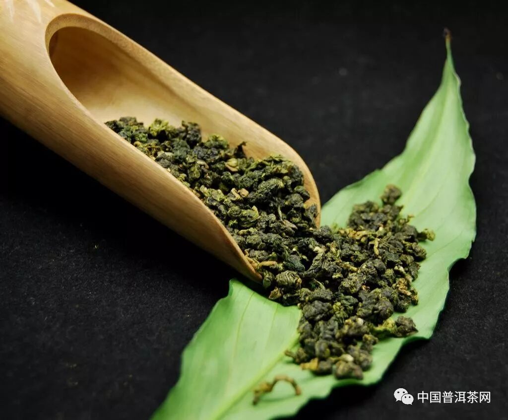 (3)外形上,铁观音茶条索卷曲,壮结,沉重,呈青蒂绿腹蜻蜓头状,色泽鲜润