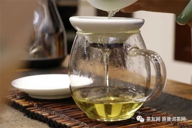 要说鉴茶还得看00后