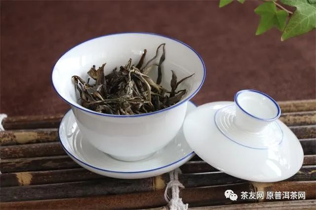 要说鉴茶还得看00后