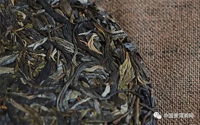 昔归、冰岛鲜叶于毛茶有啥特点？丨知识