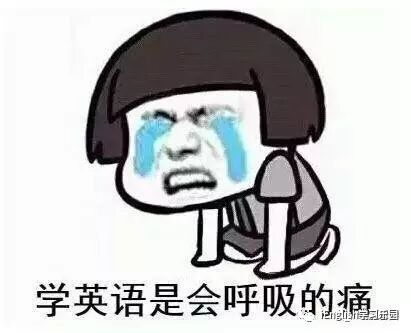 中国人为什么十几年学不会英语 Ienglish学习乐园 微信公众号文章阅读 Wemp