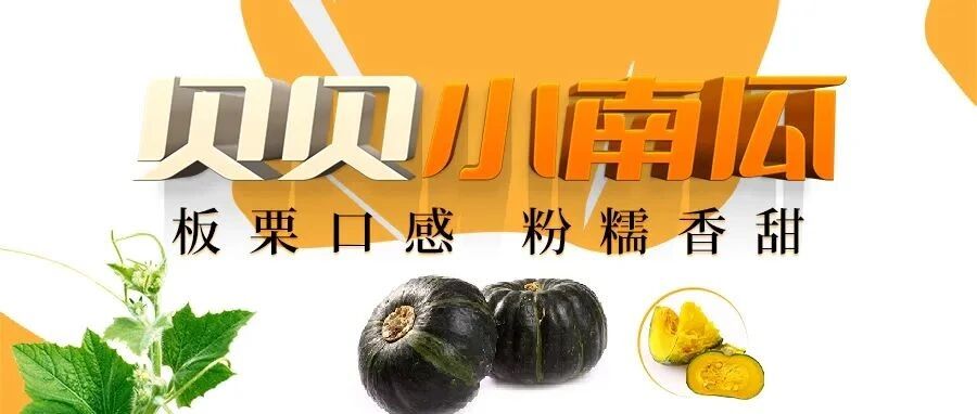 卖爆了的贝贝南瓜，板栗口感，香甜粉糯!29.9/5斤包邮到家!