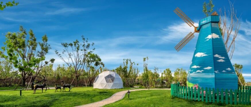 2020年，这个区域的优质配套升级再加码，崛起之势备受瞩目