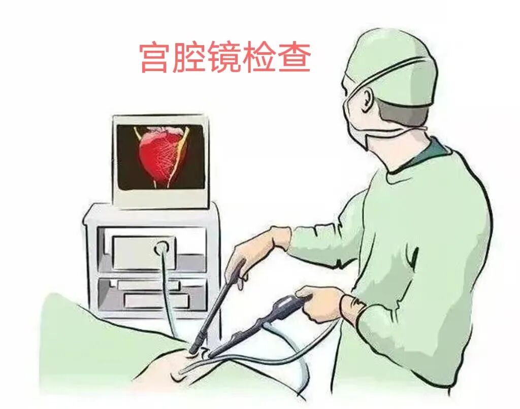 妇科诊疗设备有哪些【新技术 新发展】成县中医医院妇产科引进新设备“宫腔镜”_https://www.jmylbn.com_新闻资讯_第15张